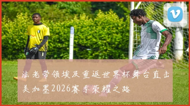 法老带领埃及重返世界杯舞台直击美加墨2026赛季荣耀之路