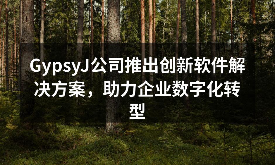 GypsyJ公司新软件发布会盛况